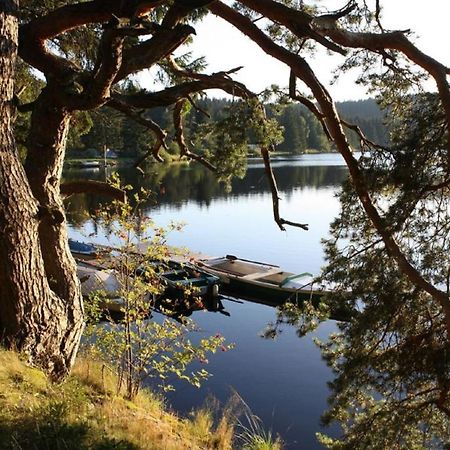 Ferienhaus Juster Im Wald Gutenbrunn Екстериор снимка