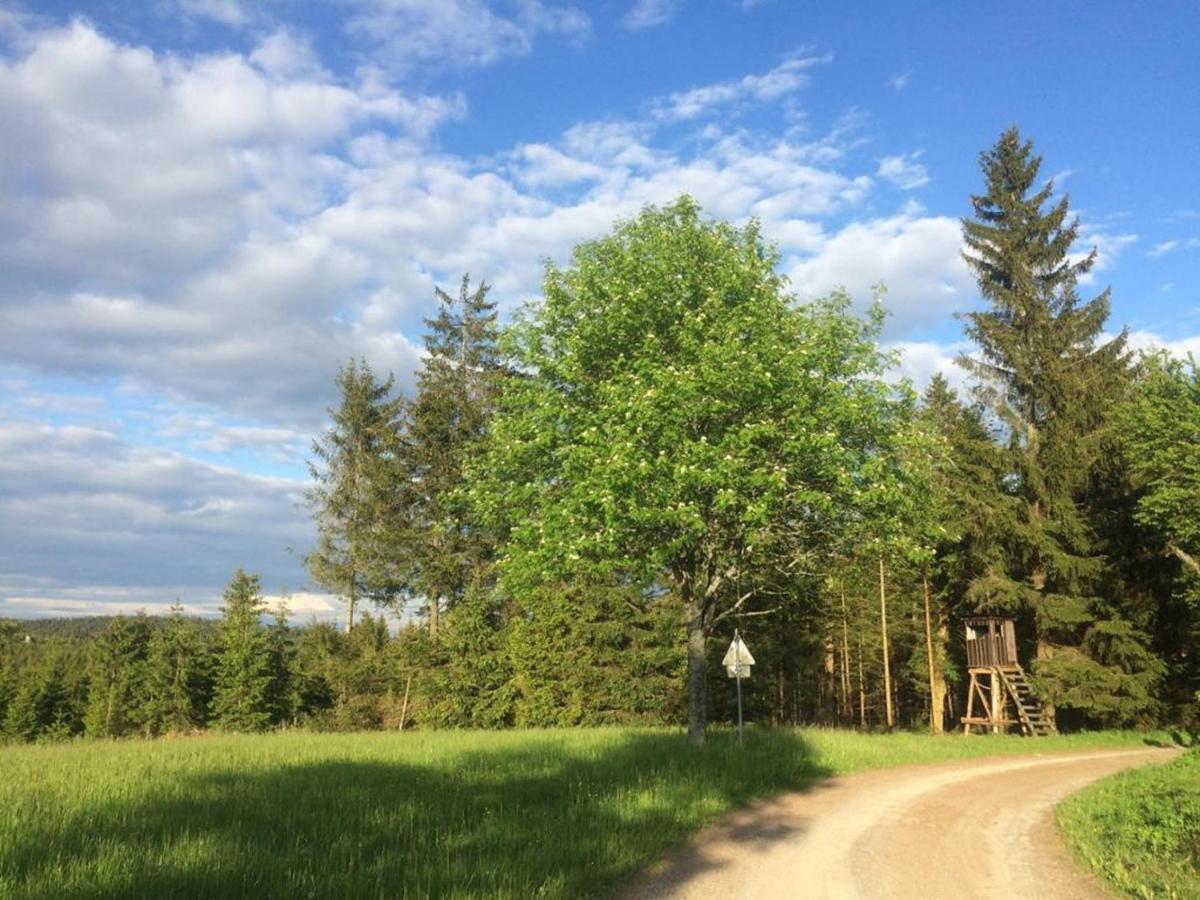 Ferienhaus Juster Im Wald Gutenbrunn Екстериор снимка
