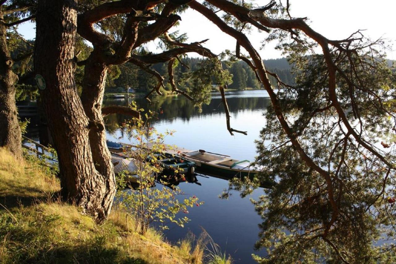 Ferienhaus Juster Im Wald Gutenbrunn Екстериор снимка